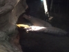 lifespan-aquarium26