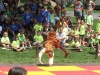 lifespan-ren-fair16