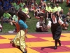 lifespan-ren-fair25
