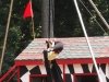 lifespan-ren-fair30