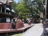 lifespan-ren-fair6